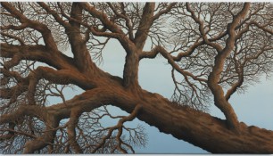 2012 - Fallen Tree - Oil on canvas - 100 x 180