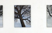 2012 - Trees 3 - Oil on canvas - 35 x 50 each