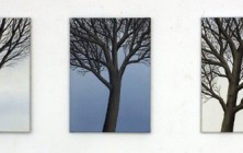 2012 - Trees - Oil on canvas - 35 x 50 each
