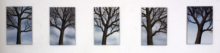 2012,Trees 2
