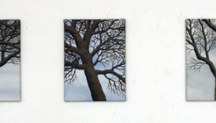 2012 - Trees 3 - Oil on canvas - 35 x 50 each