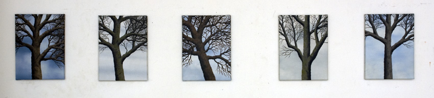 2012, Trees 3