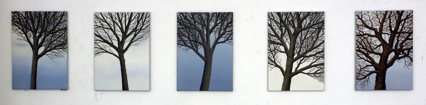 2012,Trees